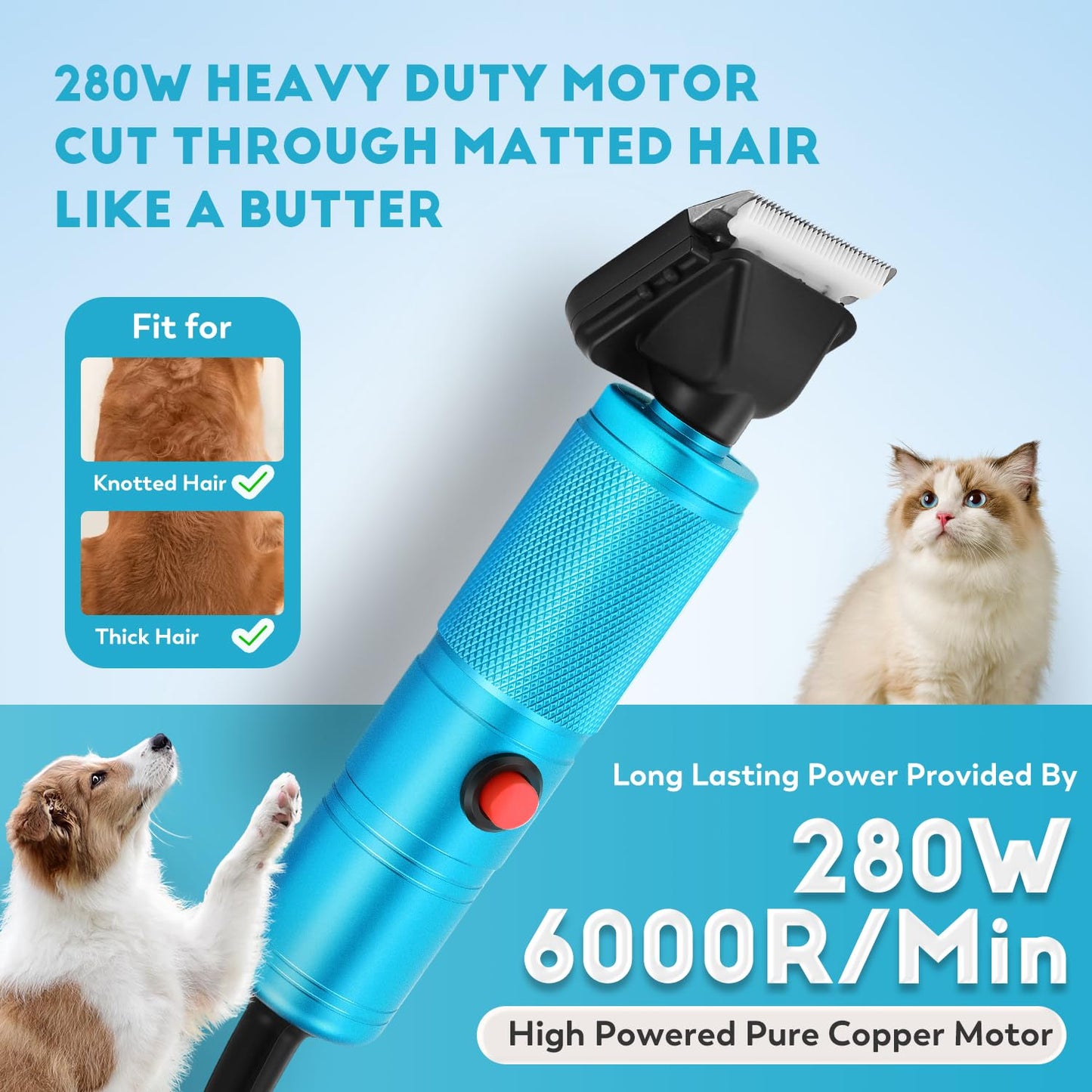 CGOLDENWALL Cortapelos para Perros 280W, 2000-6000RPM Control de Velocidad Continuo, Bajo Nivel de Ruido< 50DB, Ideal para Mascotas de Todo Tipo de Pelaje, Con 2 Cuchillas& 2 Peines (3/6mm, 9/12mm)