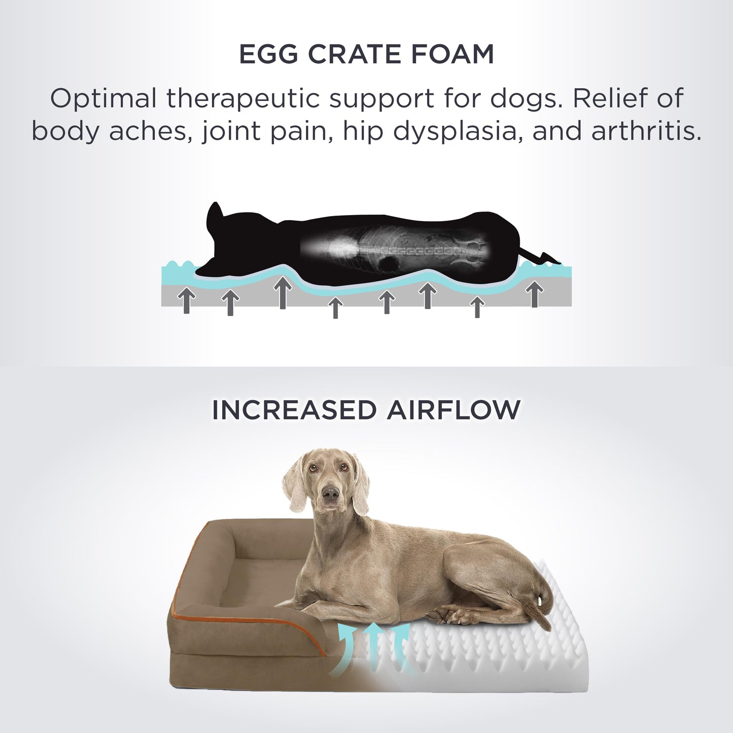 Bedsure Sofá Perro Ortopédica Extra Grande - Cama Perro Viscoelastica y Lavable, Colchon Perro con Funda Desenfundable y Forro Impermeable, Marrón Claro, XXL