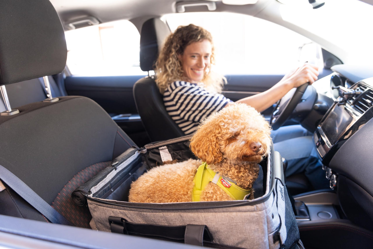 Carlett - Cube P Volcano | Carrito de Transporte 3 en 1 para Mascotas | Transportín con Ruedas | Freno de Seguridad | Impermeable | Combinable con Bolsa de Compra | Negro