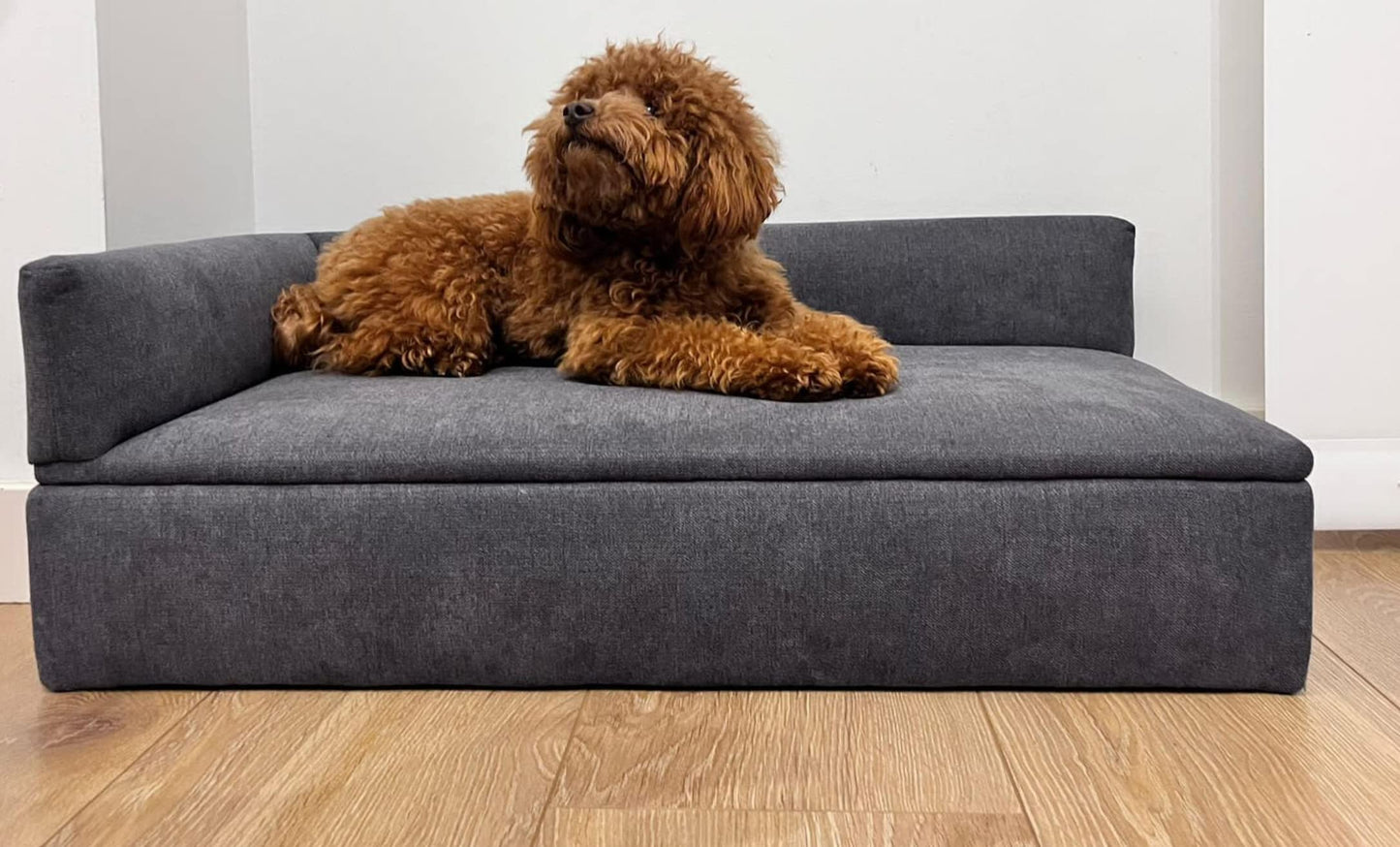 Skraut Home - Sofá Cama con Canapé Duque para Mascotas | Perros y Gatos | Tejido Especial para Pelo y Resistente | Respaldo Cómodo y Base Acolchada | 71 x 42 x 24 cm | Perros Pequeños o Medianos