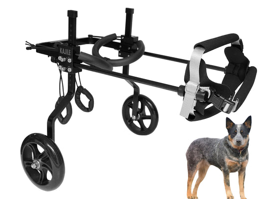 KAJILE Silla de Ruedas Ajustable Perros,Carro Mascotas,Perro Discapacitado Débil Patas Traseras Rehabilitación Formación,Altura Adecuada Mascota 37-47cm,Anchura 19-25cm,Longitud 27-35cm,L-1